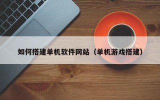 常宁如何搭建单机软件网站（单机游戏搭建）